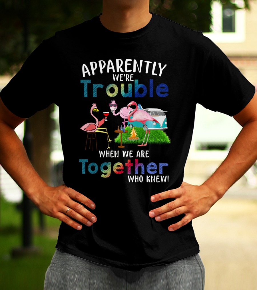 Apparently We're Trouble When We Are Together Flamingos Camping Van Campfire T-Shirt
