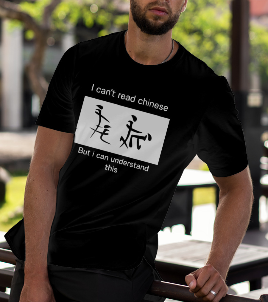 I Can't Read Chinese But I Can Understand This Humorous Pictorial Characters T-Shirt