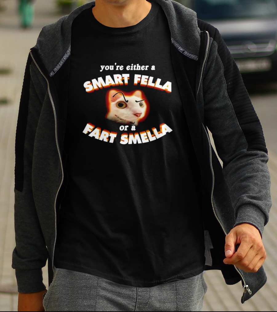 You're Either A Smart Fella Or A Fart Smella Cat Face T-Shirt