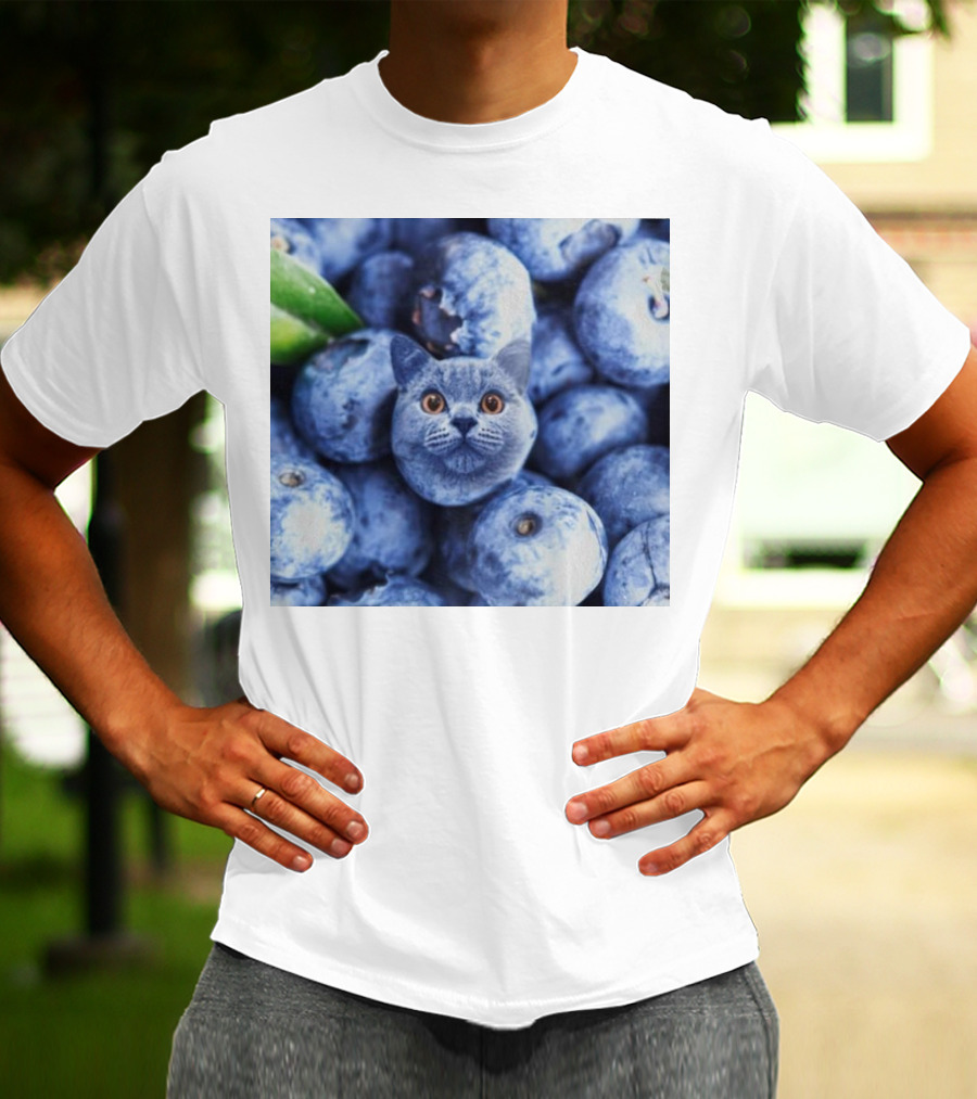 Cat Blueberries Meme T-Shirt
