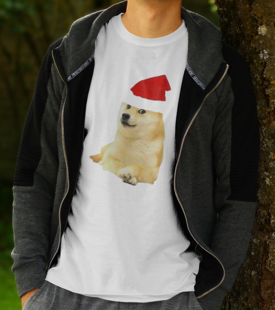 Dogecoin Christmas Santa Hat Meme T-Shirt