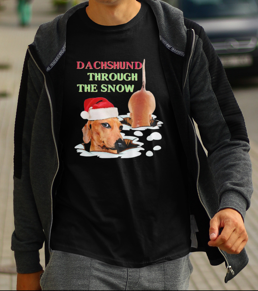 Dachshund Through The Snow Santa Hat Dog And Snow Bubbles T-Shirt