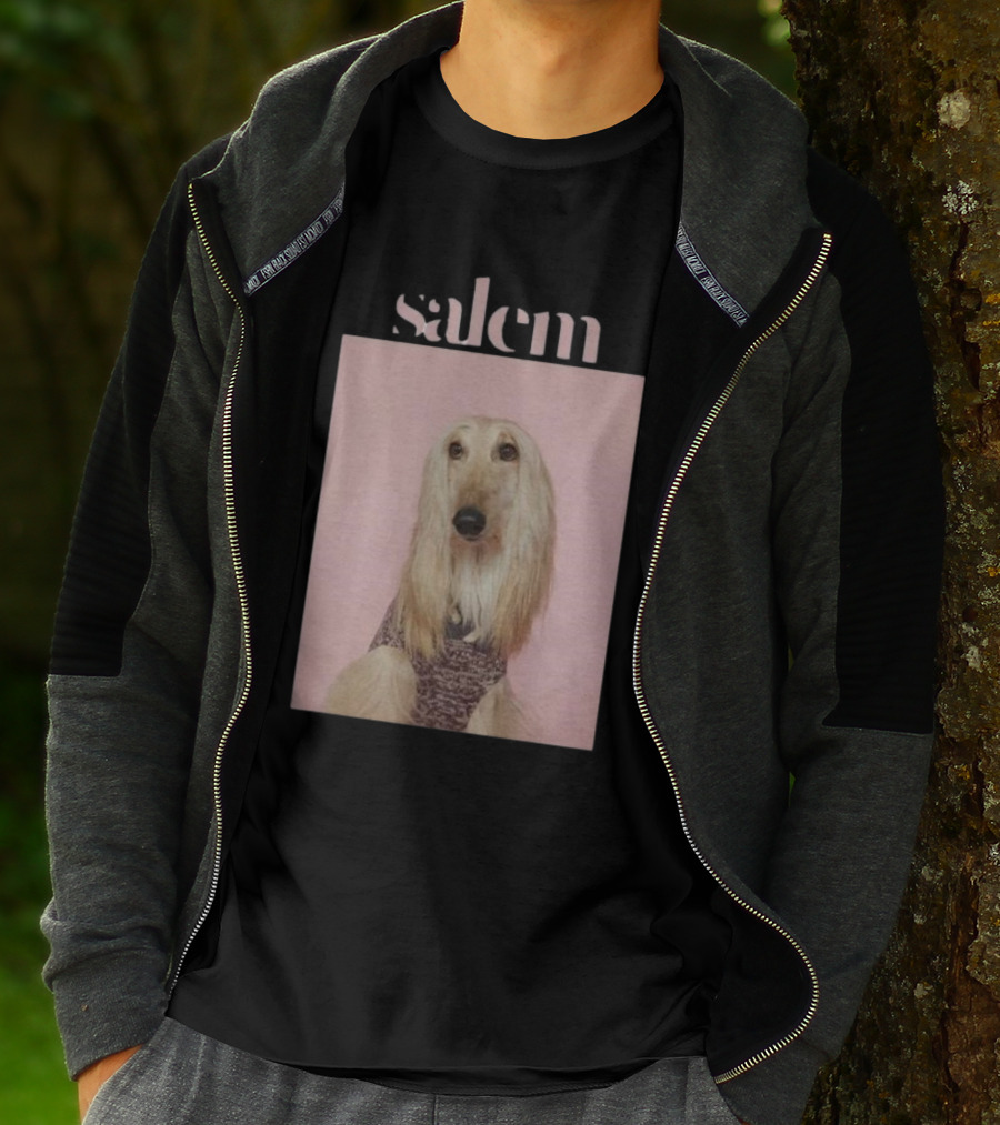 Salem Ilese Dog Afghan Hound Portrait On Pink Background T-Shirt