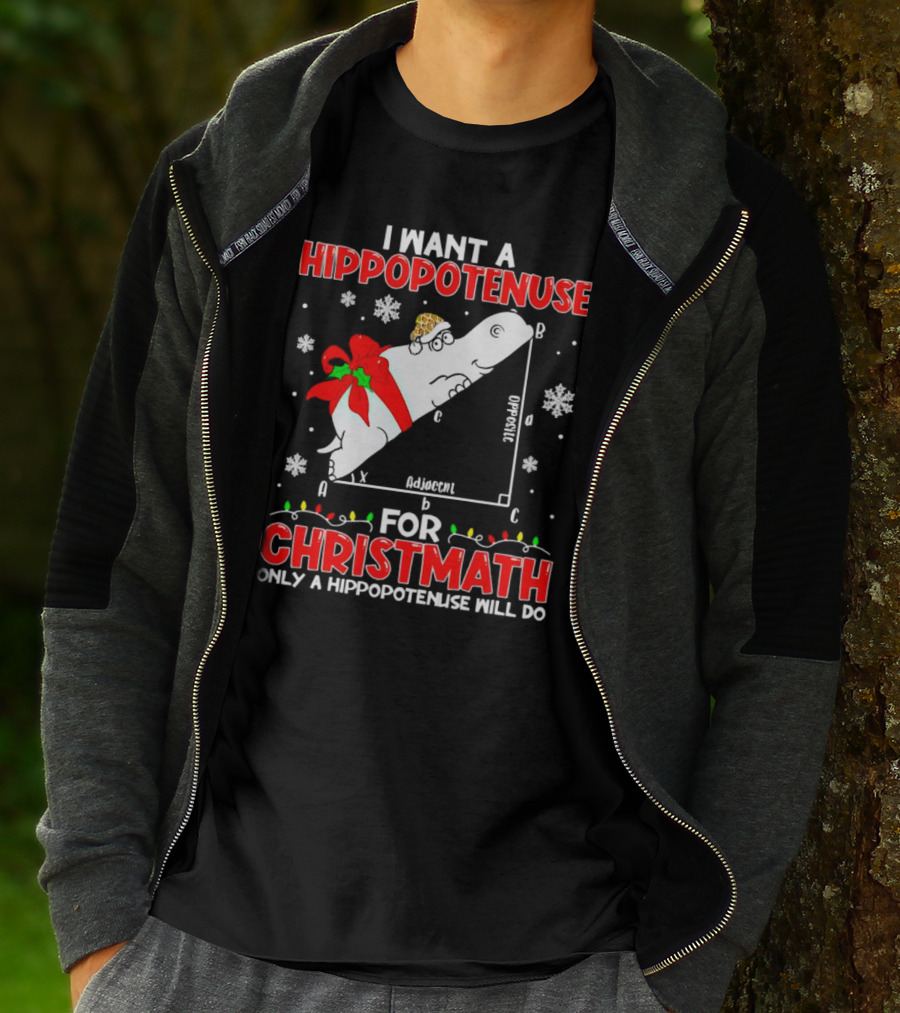 I Want A Hippopotenuse For Christmath Christmas Only A Hippopotenuse Will Do T-Shirt