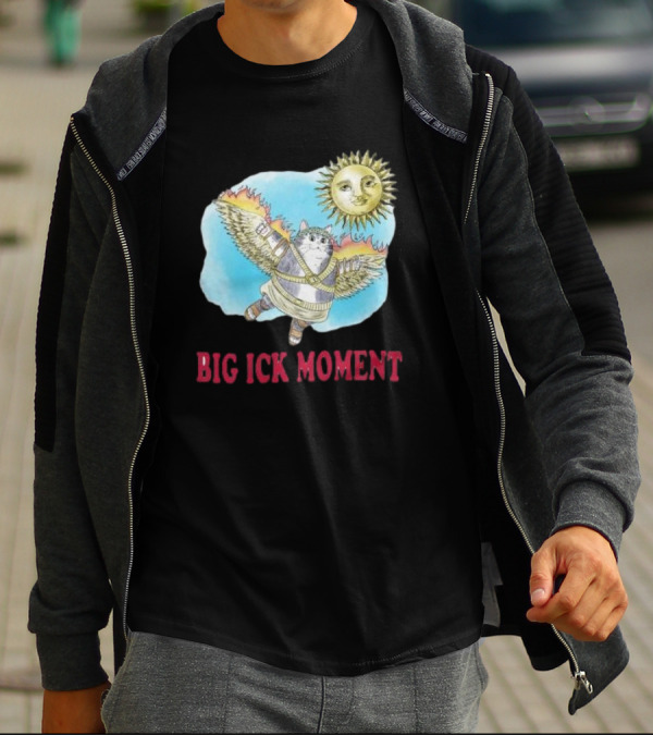 Big Ick Moment Cat With Wings And Sun T-Shirt