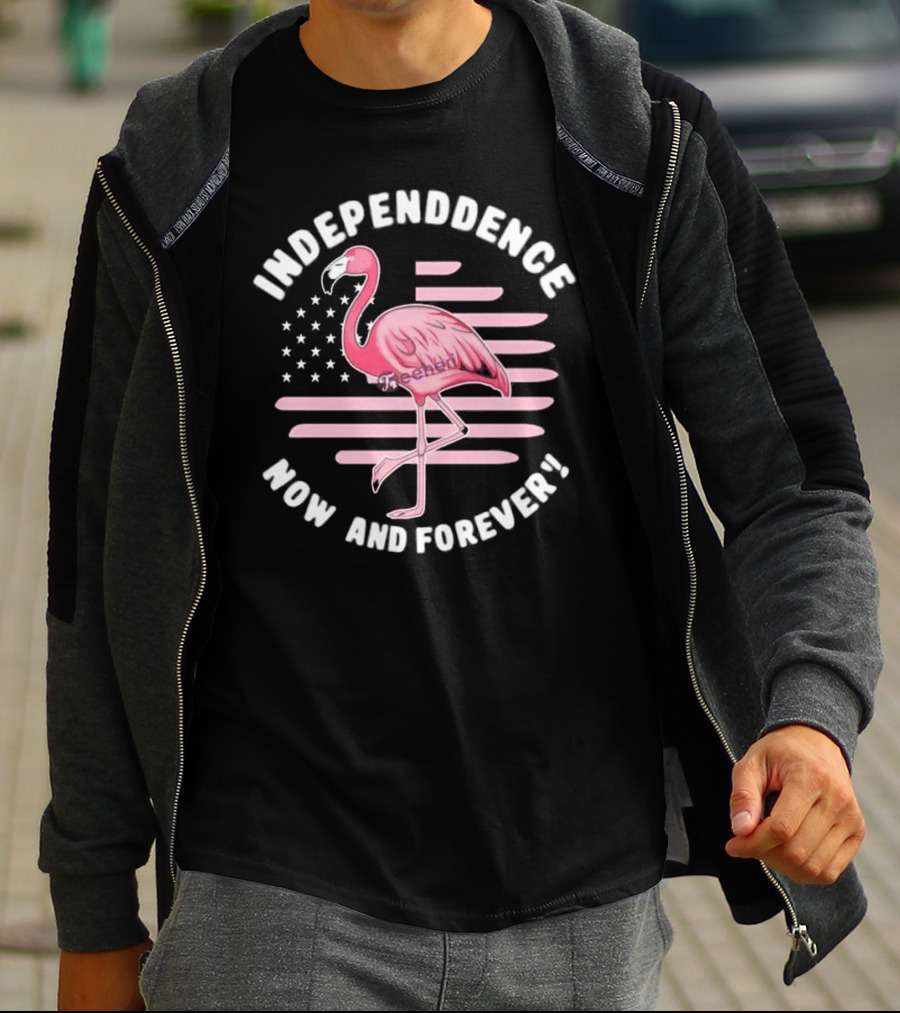 Independence Now And Forever Flamingo America Flag T-Shirt