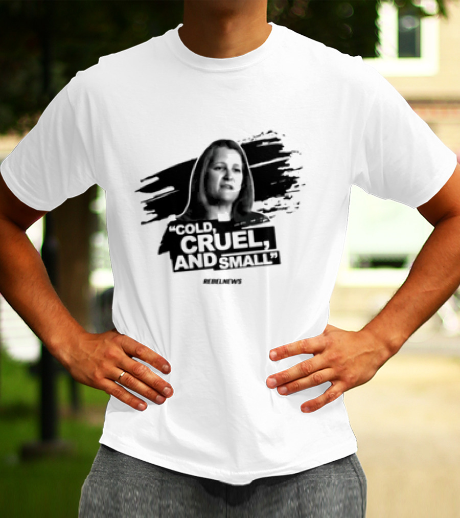 Cold Cruel And Small Sue Ann Levy Rebel News T-Shirt