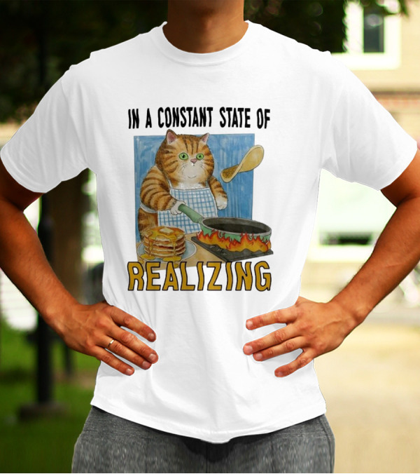 In A Constant State Of Realizing Cat Cooking Pancakes Flame Pan T-Shirt