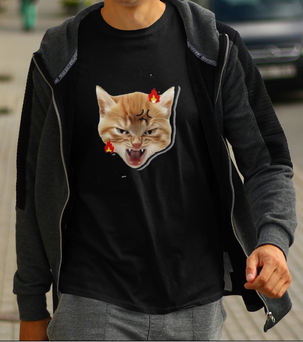 Childless Angry Cat Lady Voter Flame Emoji T-Shirt