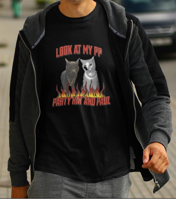 Look At My Pp Party Hat And Paul Cats With Flames T-Shirt