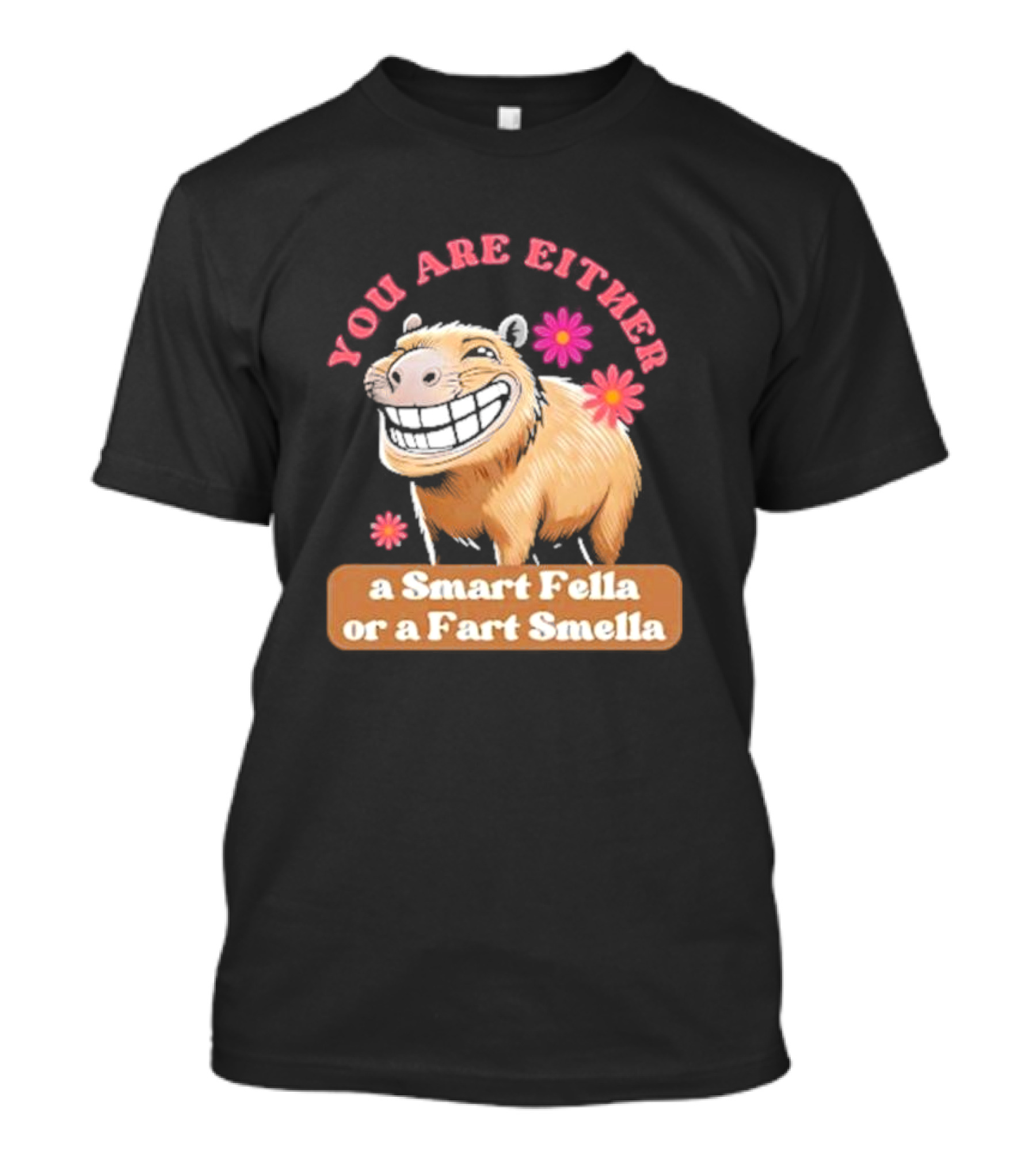 You Are Either A Smart Fella Or A Fart Smella Capybara Meme With Flowers T-Shirt