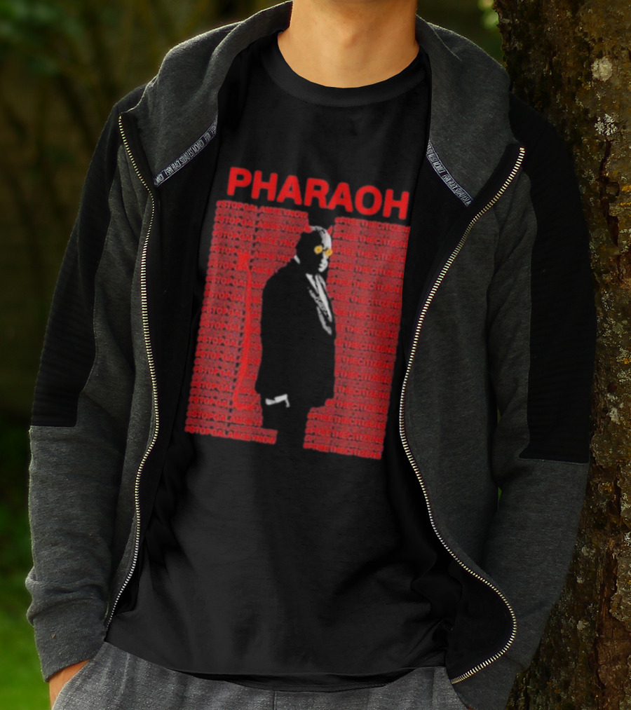 Pharaoh Stopgalamseynow Freethecitizens Protest T-Shirt