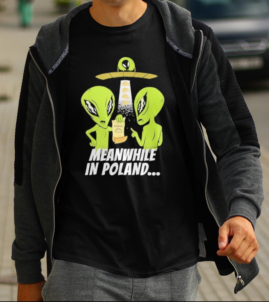 Meanwhile In Poland Alien Abduction Pierogi T-Shirt
