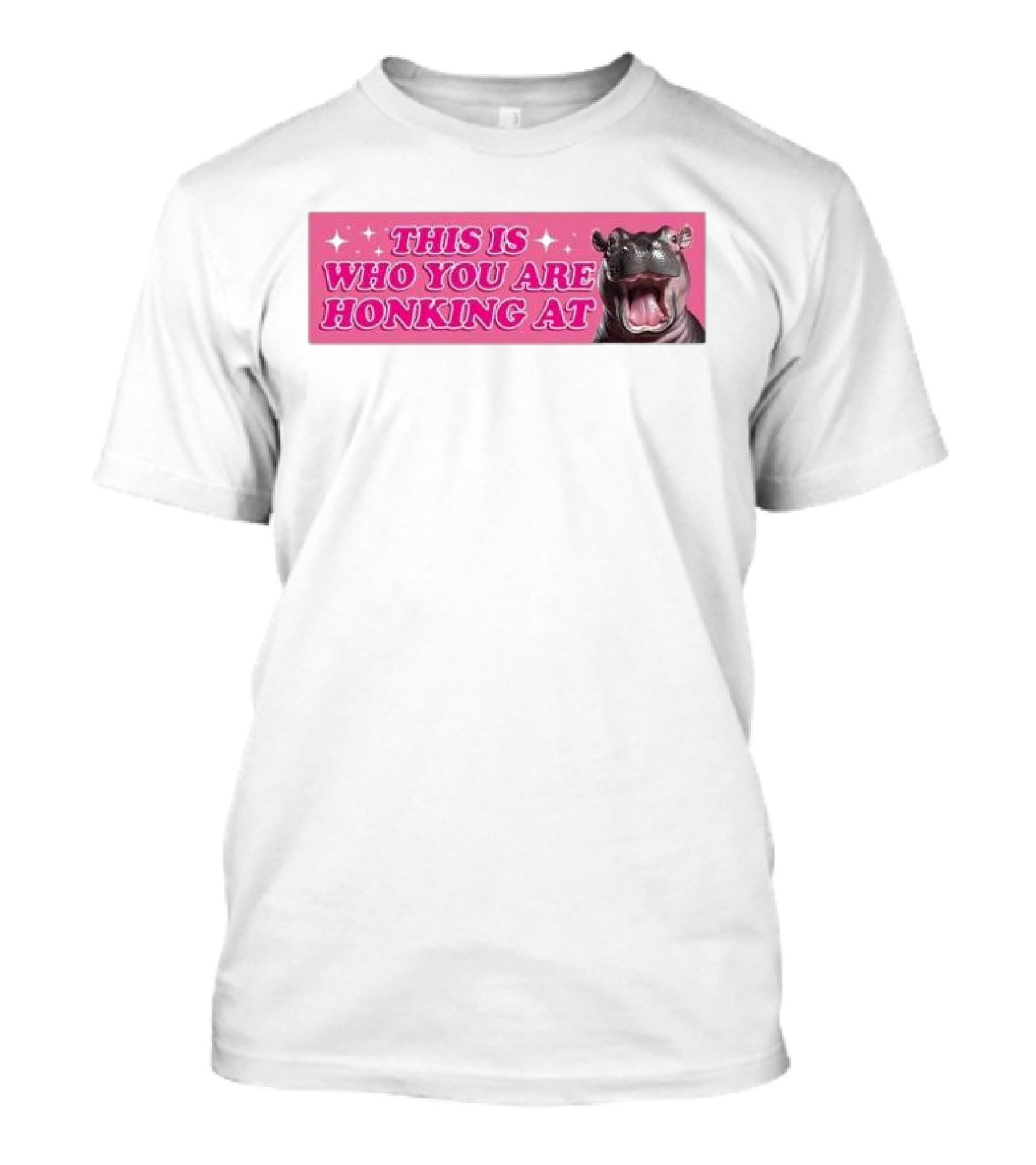 This Is Who You Are Honking At Hippo T-Shirt