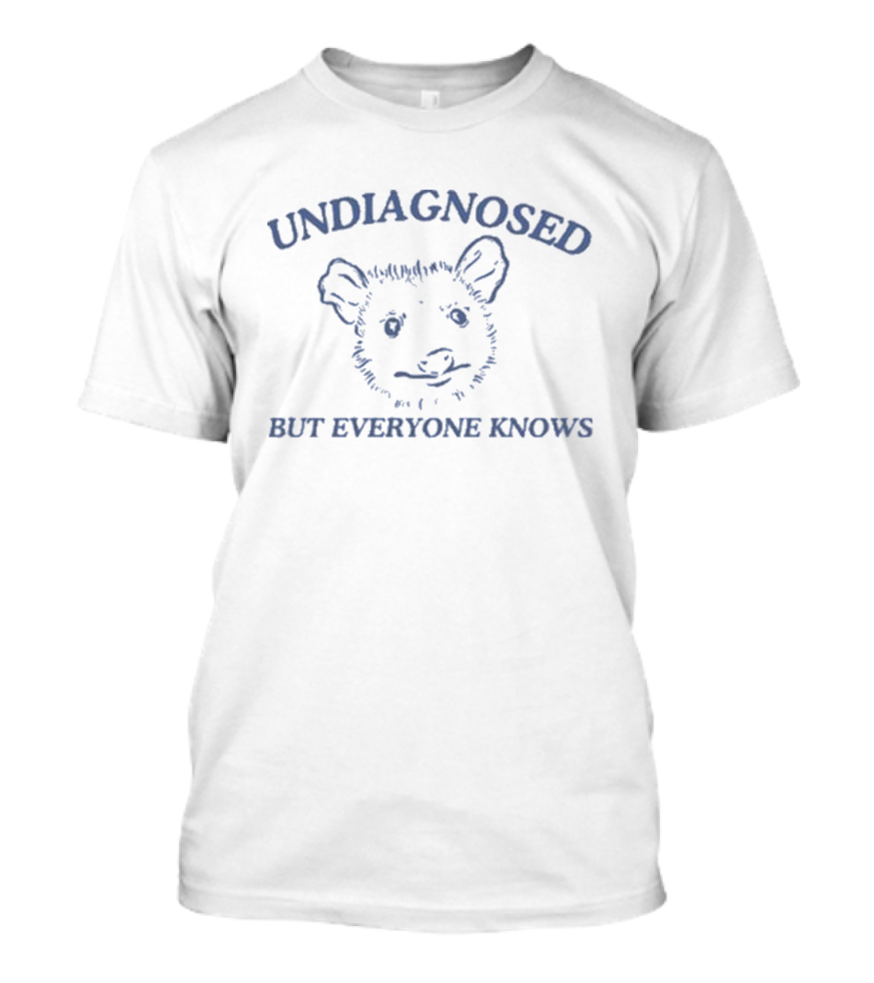 Undiagnosed But Everyone Knows Possum Undiagnosed Everyone Knows Possum T-Shirt
