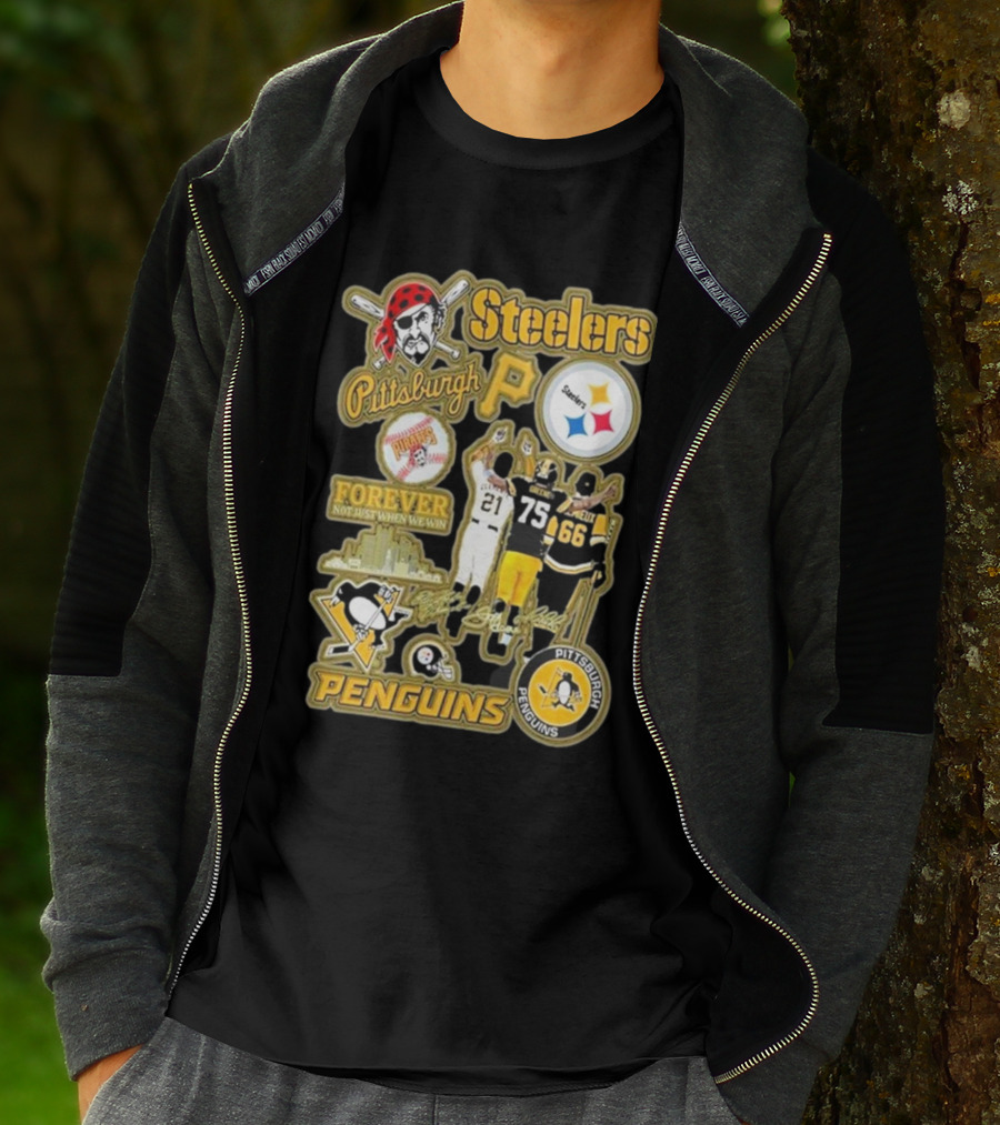 Steelers Penguins Pittsburgh Forever Fan Sports Icons And Passion T-Shirt