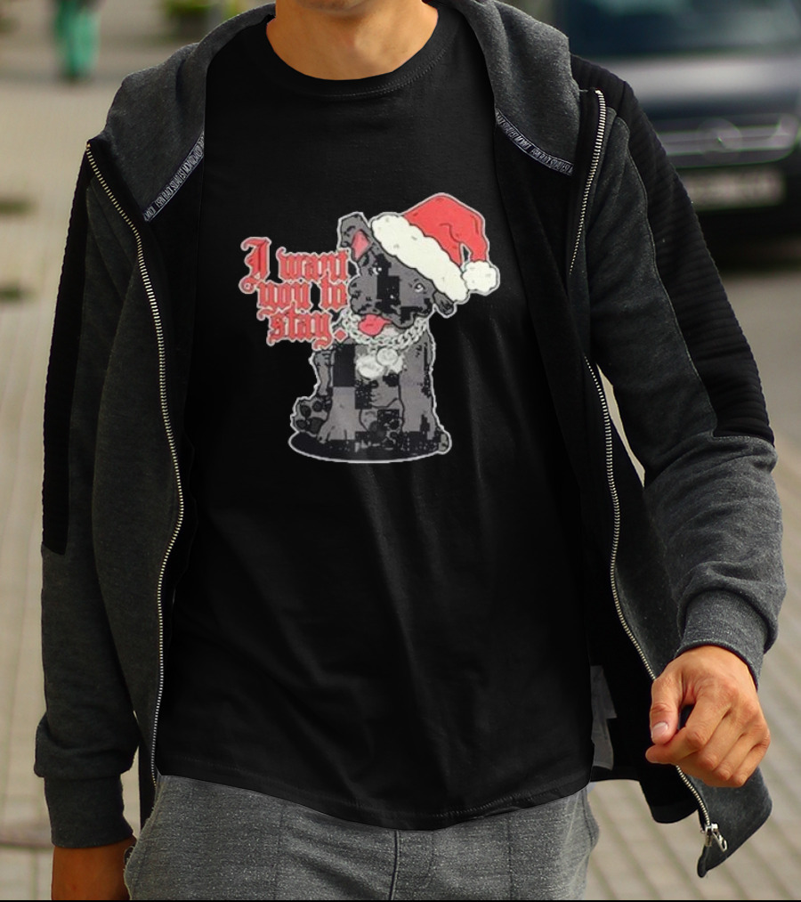 Santa Dog I Want You To Stay Christmas Puppy T-Shirt
