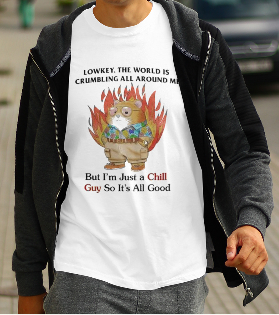 Chill Guy With World Crumbling Fire Background T-Shirt