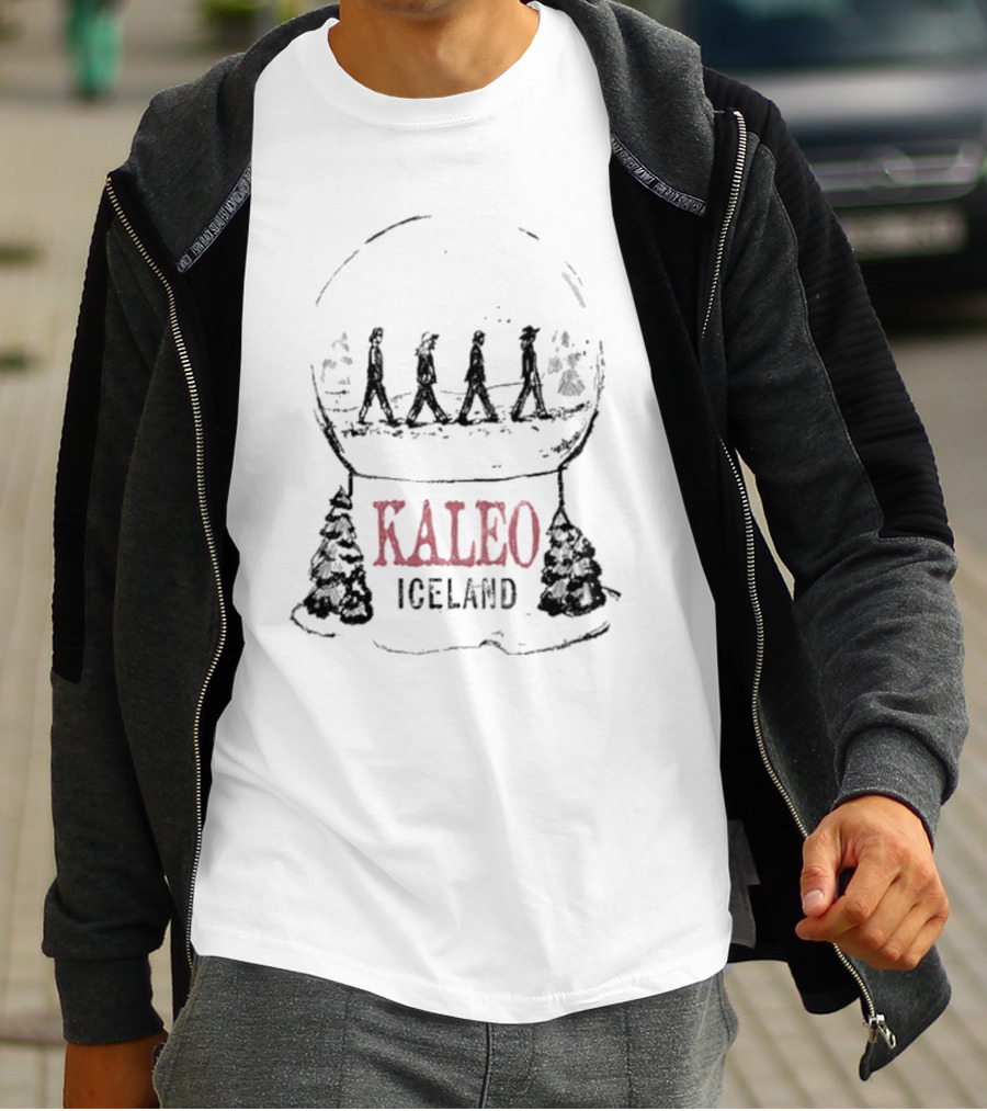 Kaleo Iceland Abbey Road Inspired Snow Globe T-Shirt