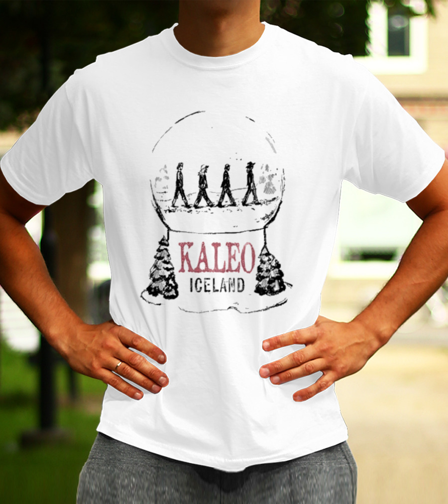 Kaleo Iceland Abbey Road Inspired Snow Globe T-Shirt
