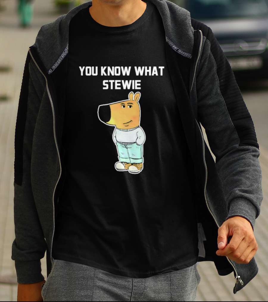 You Know What Stewie Chill Guy Sweater Cartoon T-Shirt
