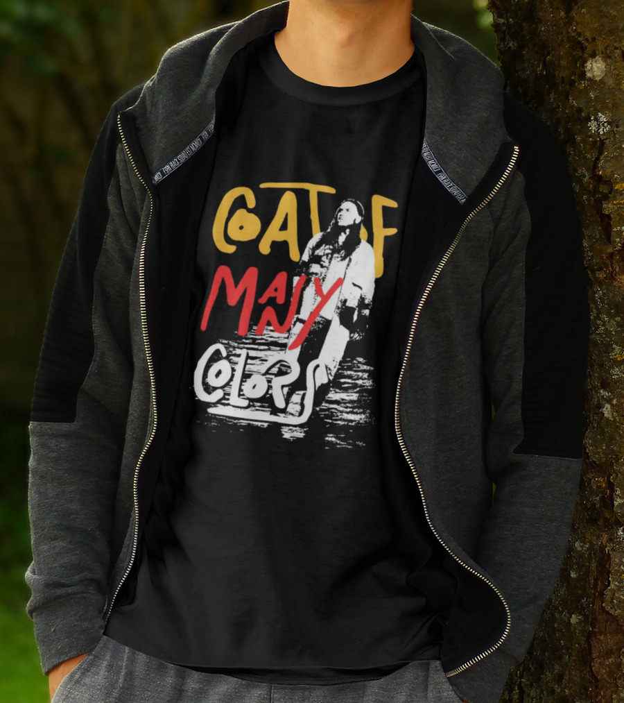 Brandon Lake Coat Of Many Colors T-Shirt