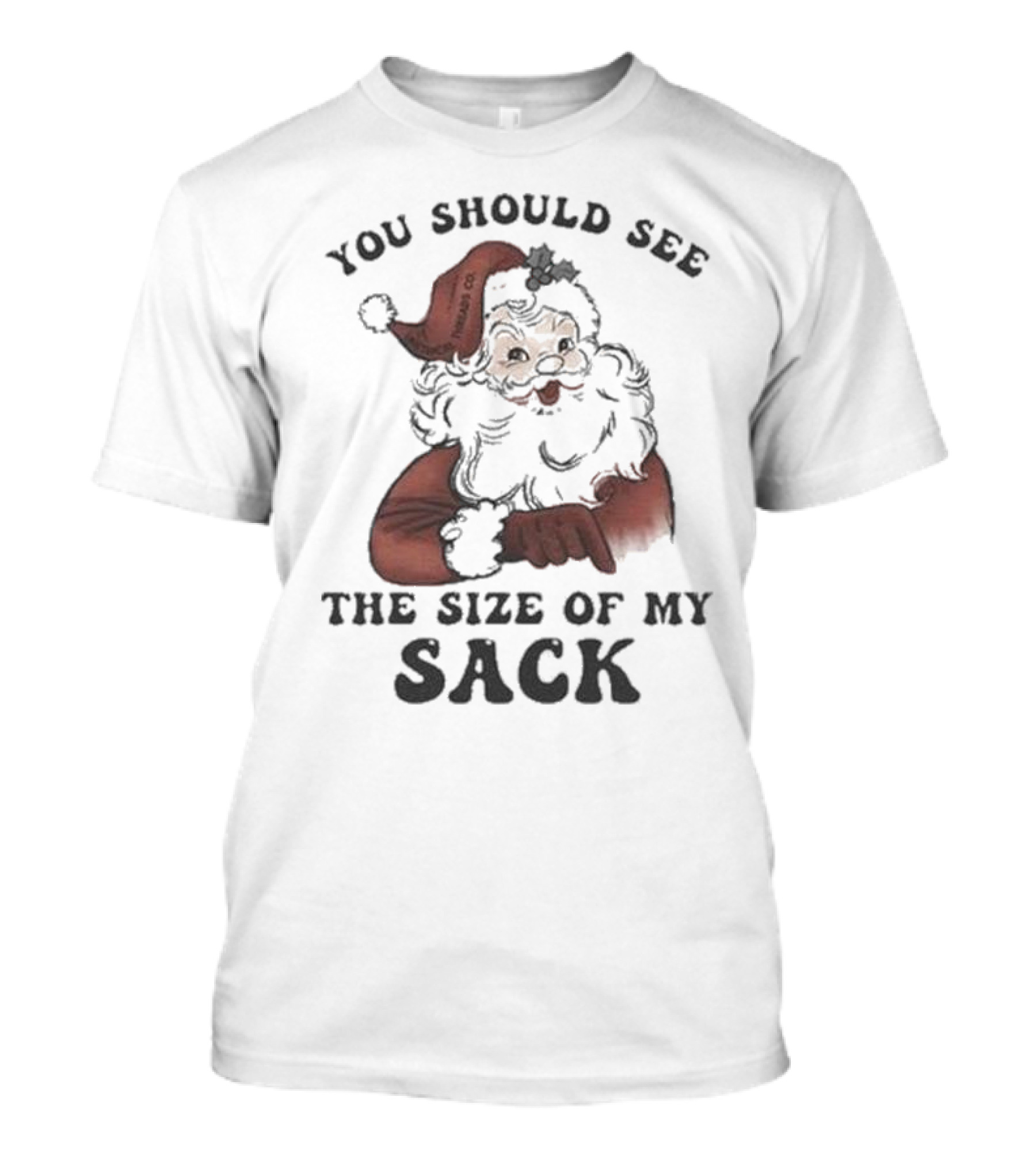 Santa Claus You Should See The Size Of My Sack T-Shirt