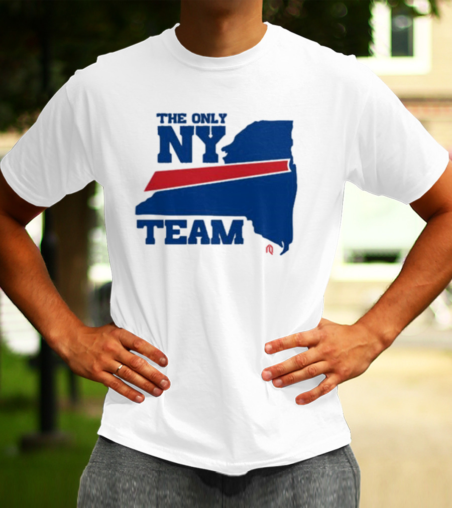 The Only NY Team New York State Silhouette Red Stripe T-Shirt