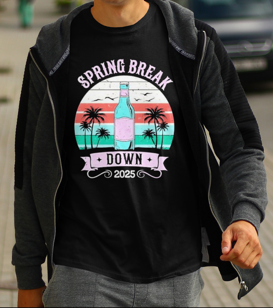 Spring Break Down 2025 Bottle Palms Retro Stripes Vintage Vibe T-Shirt