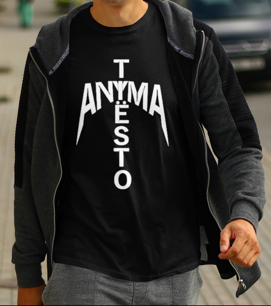 We Rave You Anyma Tiësto Typography Style T-Shirt