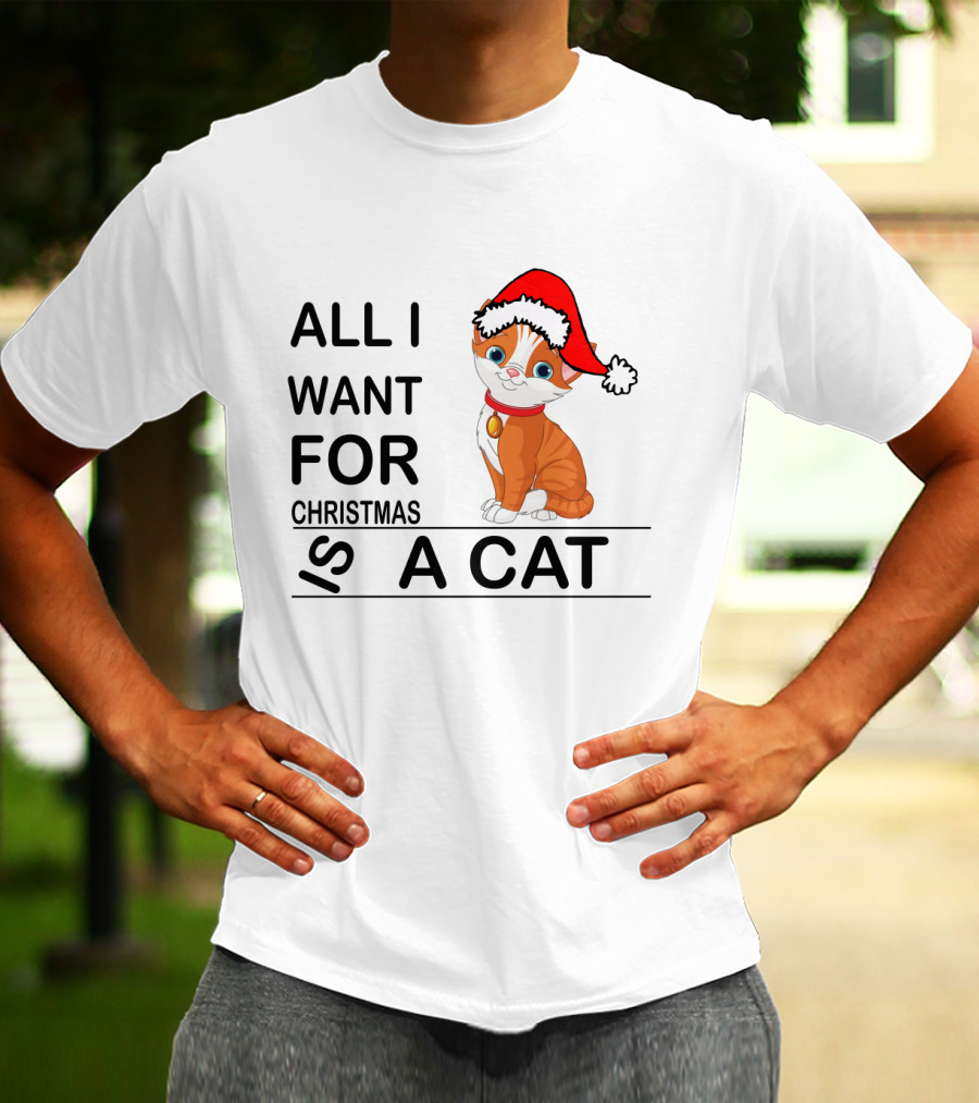 All I Want For Christmas Is A Cat Wearing Santa Hat T-Shirt