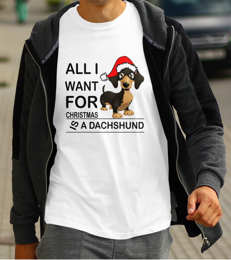All I Want For Christmas Is A Dachshund Wearing Santa Hat T-Shirt