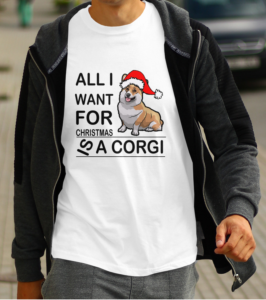 All I Want For Christmas Is A Corgi With Santa Hat T-Shirt