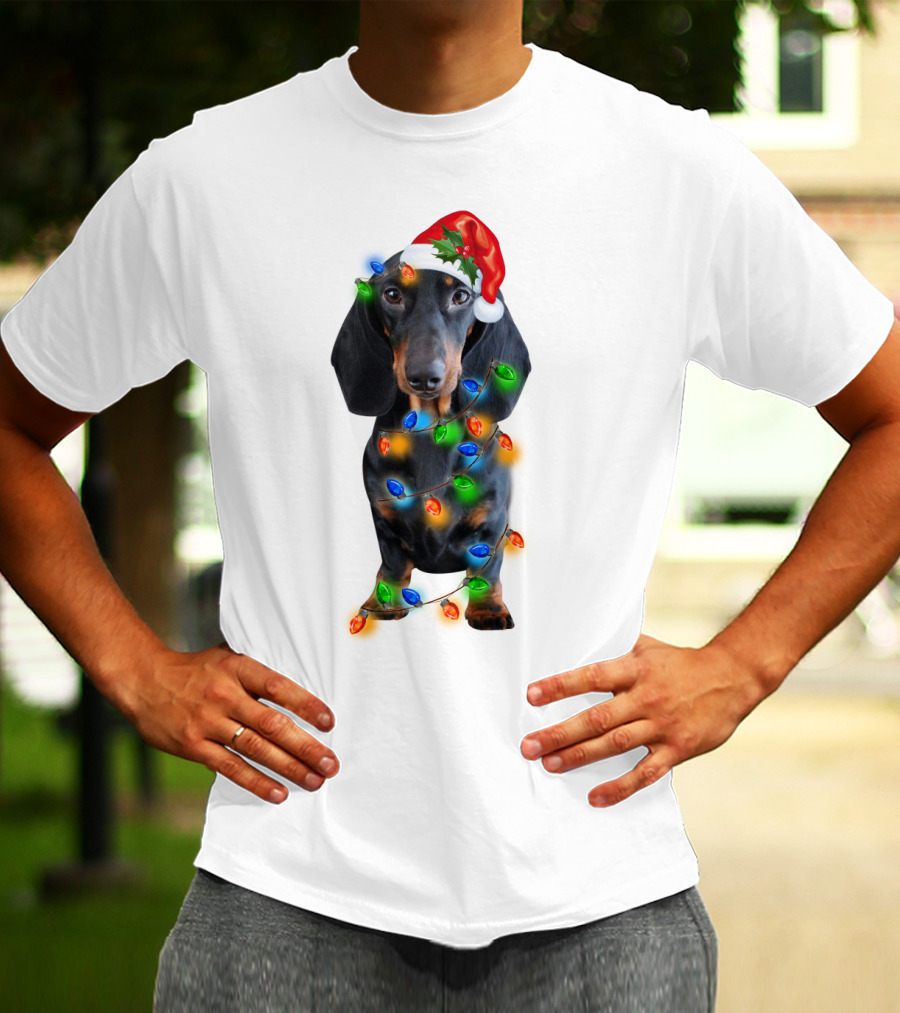 Black Dachshund Wearing Santa Hat And Wrapped In Christmas Lights T-Shirt