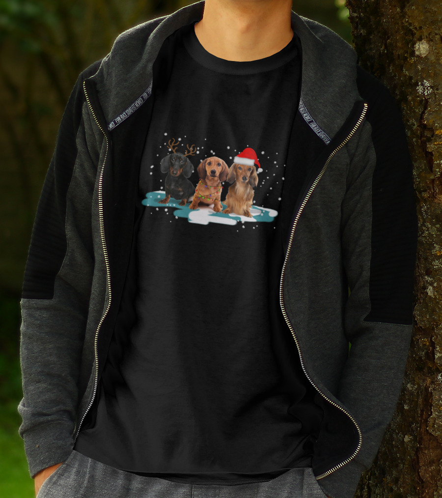 Dachshund Christmas Trio With Antlers And Santa Hat In Snowy Scene T-Shirt