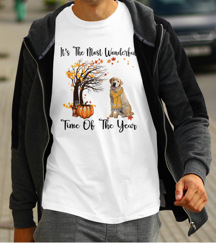 It's The Most Wonderful Time Of The Year Labrador Autumn Pumpkin Leaves T-Shirt