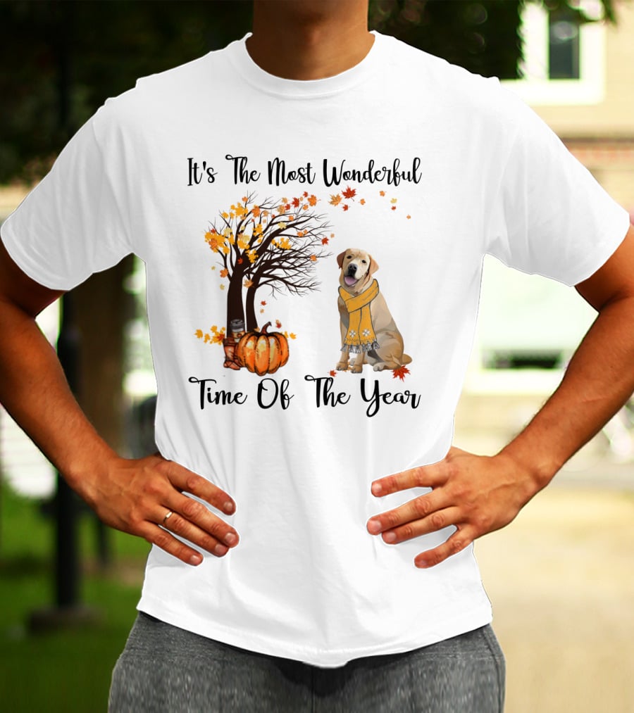 It's The Most Wonderful Time Of The Year Labrador Autumn Pumpkin Leaves T-Shirt