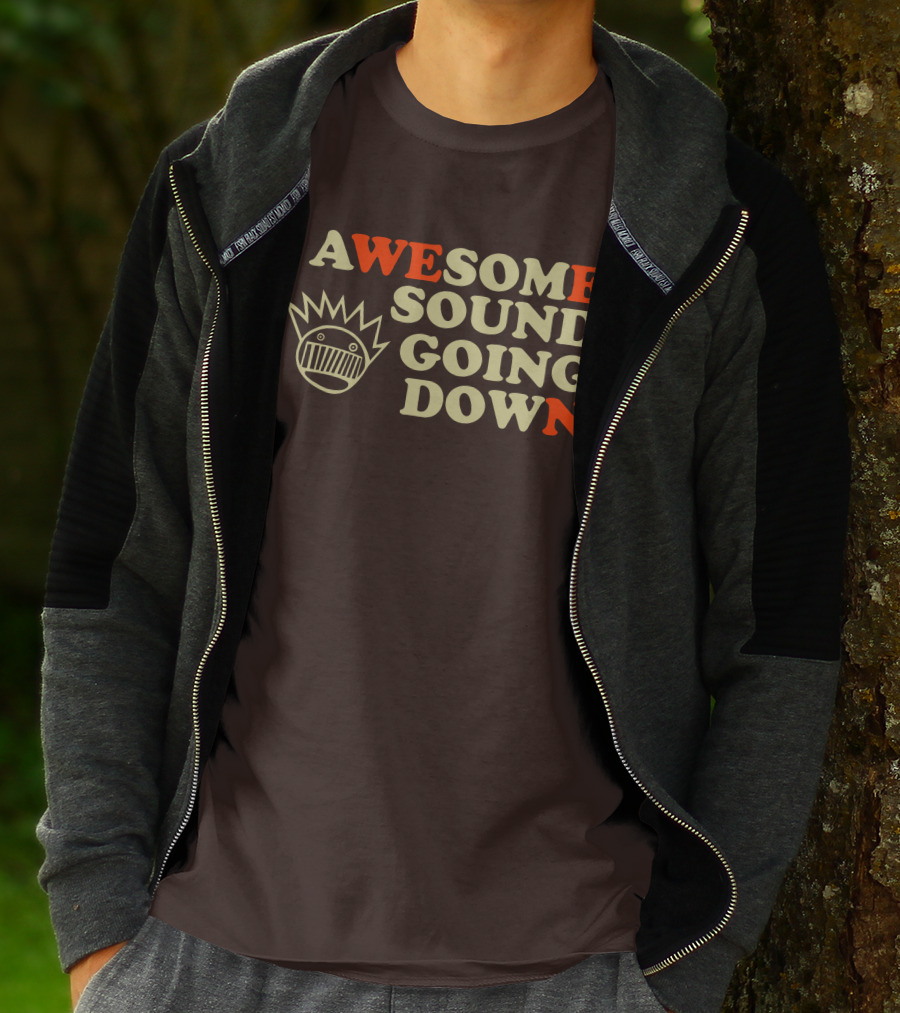 Awesome Sound Going Down Ween Boognish T-Shirt