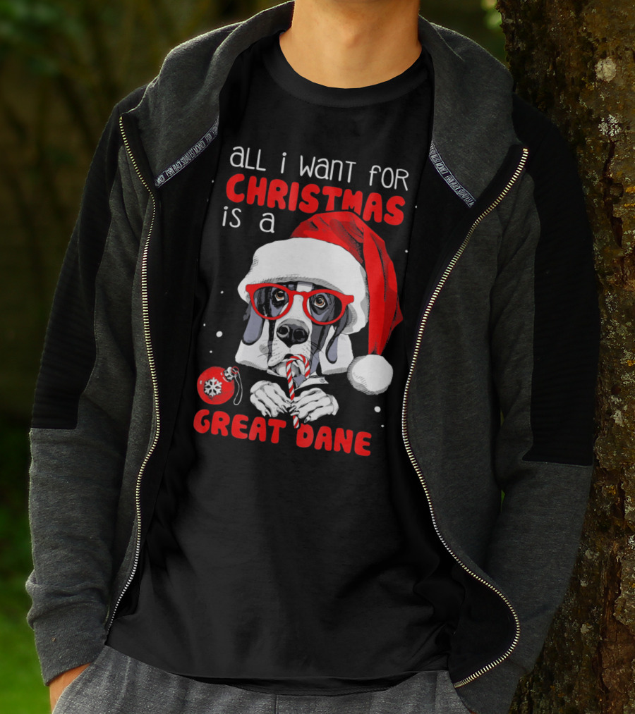 All I Want For Christmas Is A Great Dane Santa Hat Red Glasses Candy Cane T-Shirt