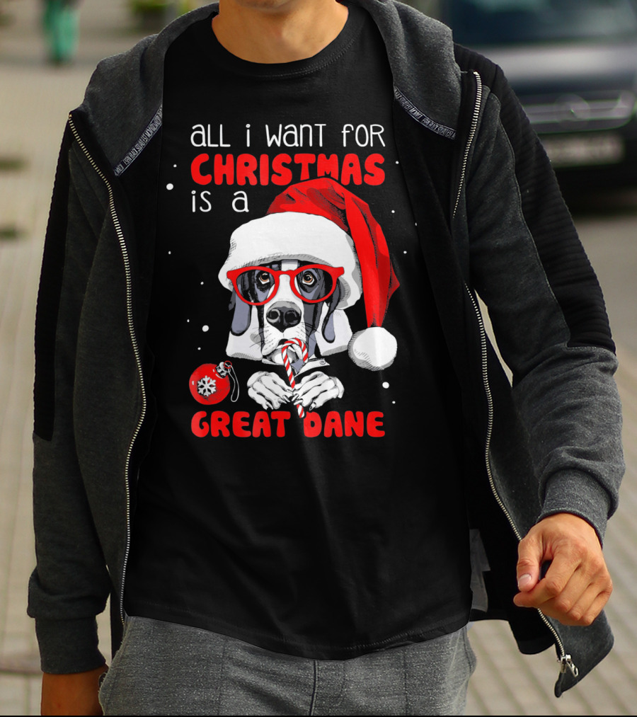 All I Want For Christmas Is A Great Dane Santa Hat Red Glasses Candy Cane T-Shirt