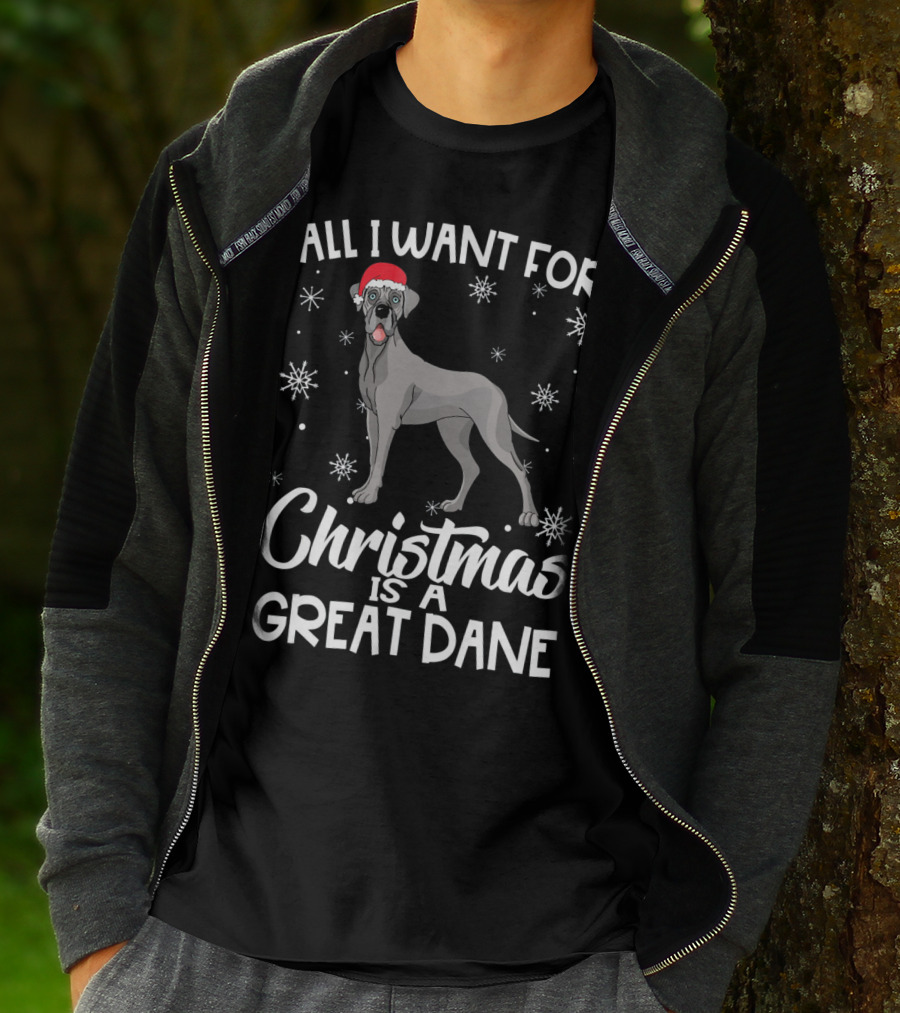 All I Want For Christmas Is A Great Dane With Santa Hat And Snowflakes T-Shirt