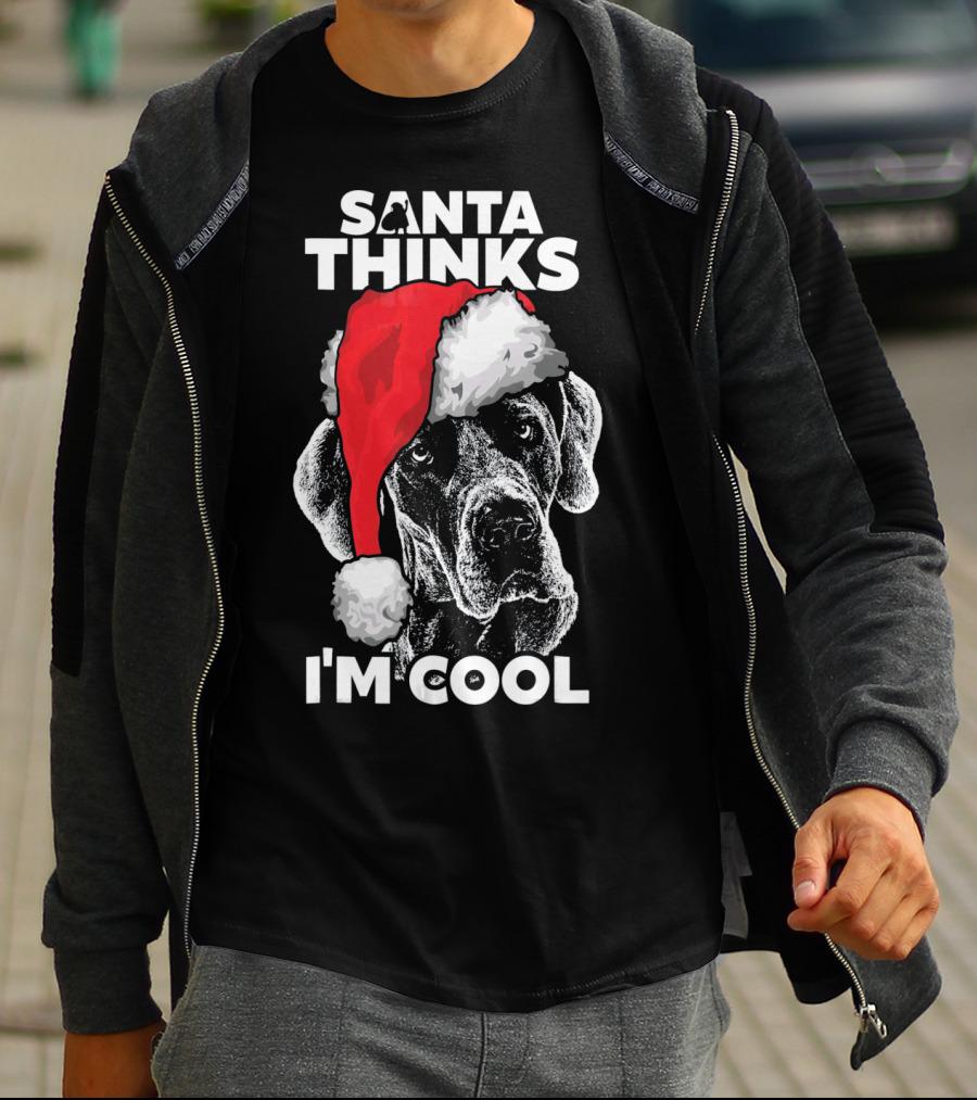 Santa Thinks I'm Cool Great Dane T-Shirt