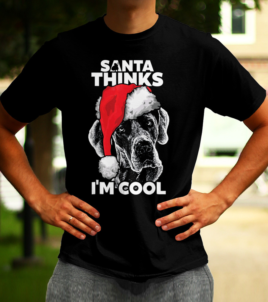 Santa Thinks I'm Cool Great Dane T-Shirt