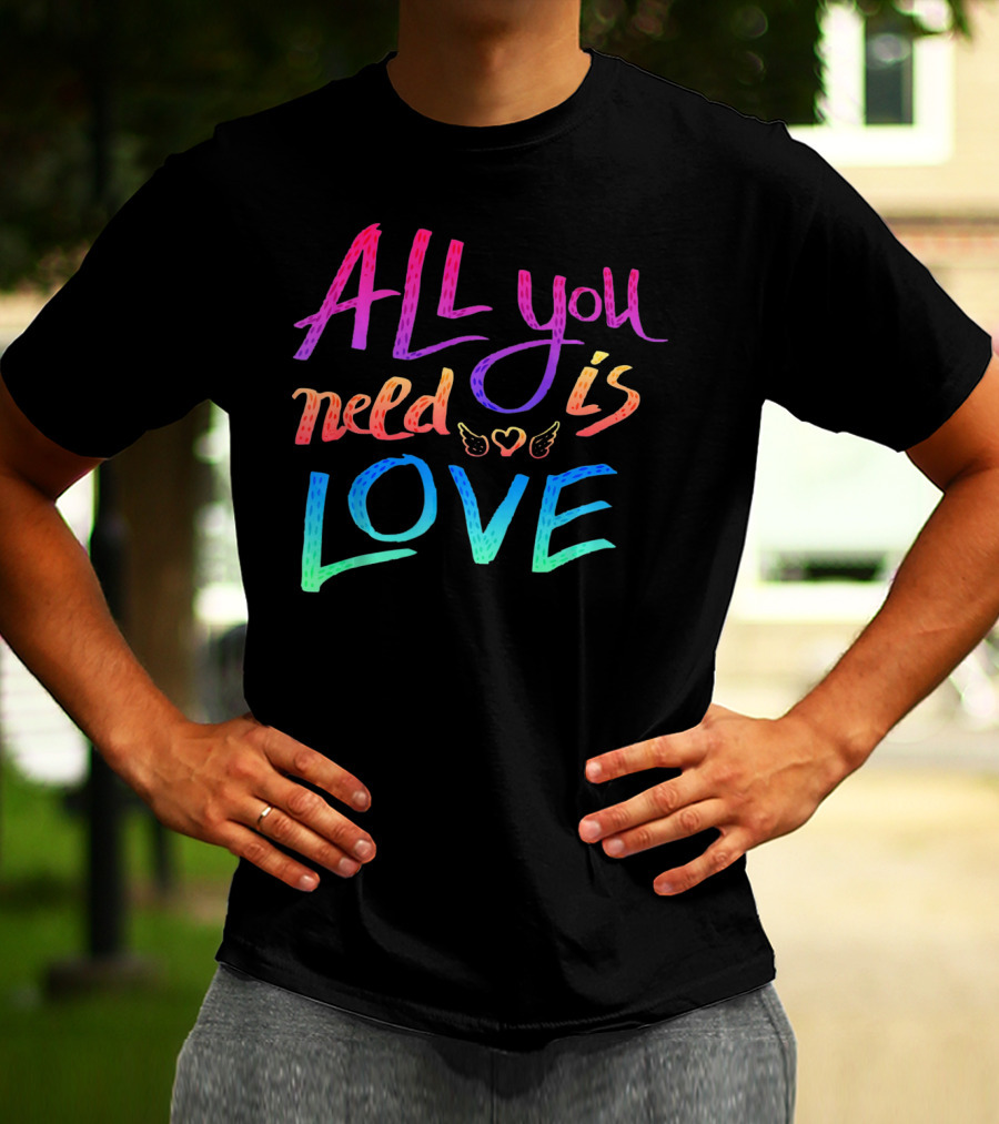 All You Need Is Love Rainbow Wings Heart T-Shirt