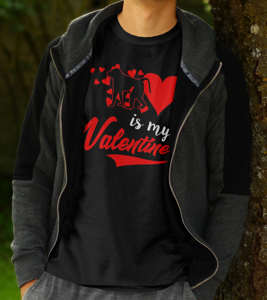 Baboon Love Heart Is My Valentine T-Shirt