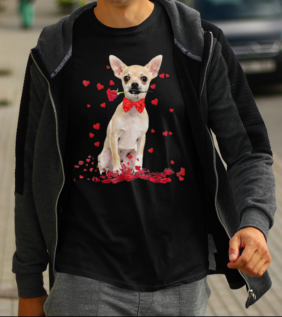 Chihuahua Valentine's Day Rose And Hearts T-Shirt