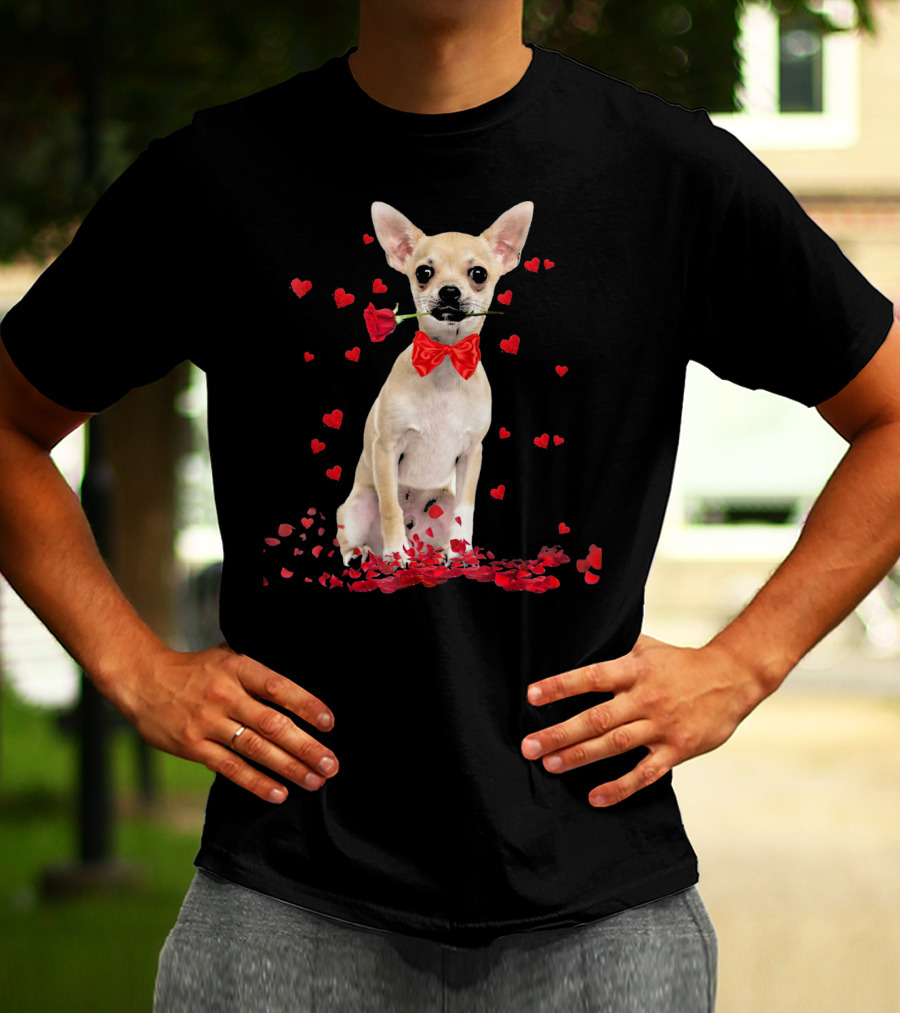 Chihuahua Valentine's Day Rose And Hearts T-Shirt
