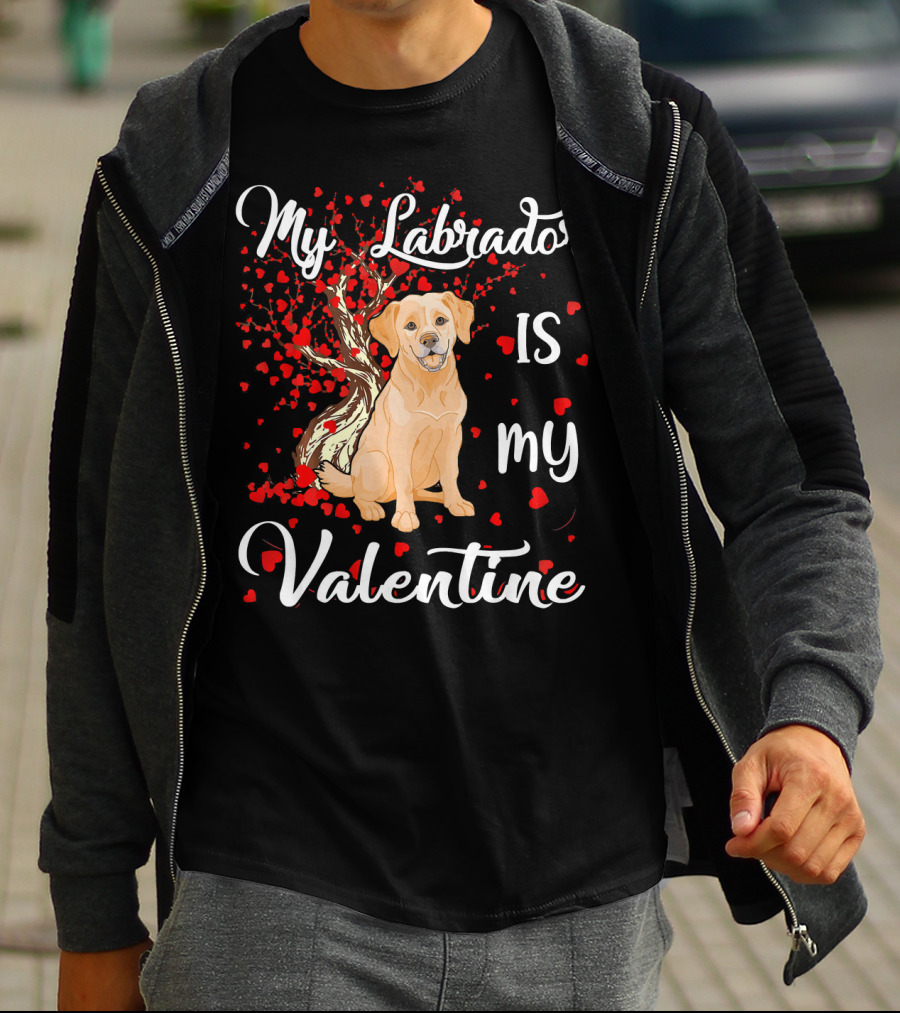 My Labrador Is My Valentine T-Shirt