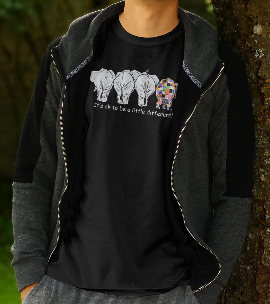 It's Ok To Be A Little Different Autism Colorful Elephant T-Shirt