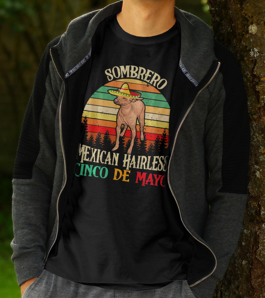 Sombrero Mexican Hairless Cinco De Mayo Vintage Sunset T-Shirt